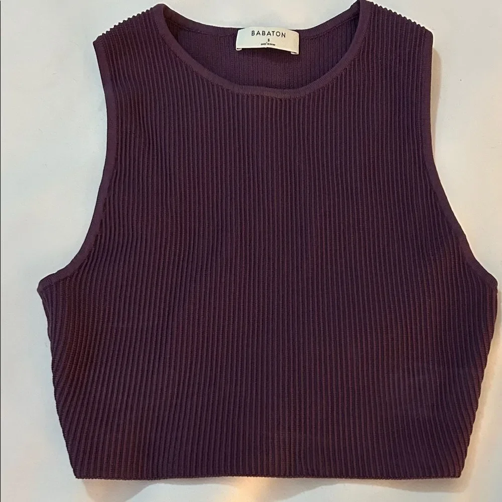 Aritzia Babaton Ribbed Sleeveless Crop Top - Plum small